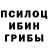 Галлюциногенные грибы мицелий Mariana Lauciute