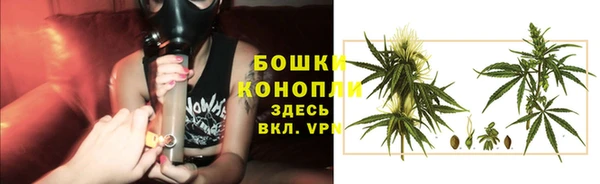 крисы Наволоки