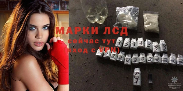эйфоретик Баксан